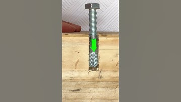 Tắc kê đạn #shorts