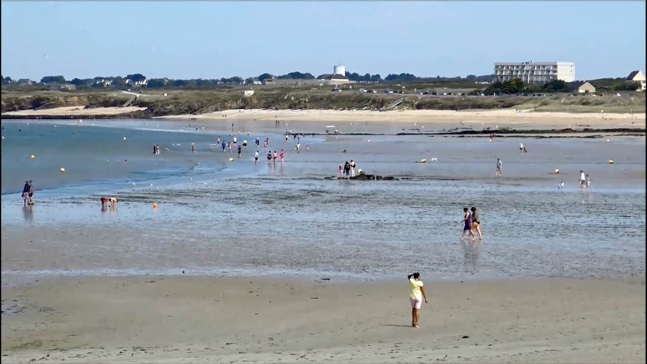Livre : Pêche à pied : à marée basse écrit par Jean-Michel Luquet et Jane Bretaudeau et Paul Andréa Lémani - Néva éd
