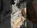 Newsong Song Shortsvideo Newsong Song Shortsvideo