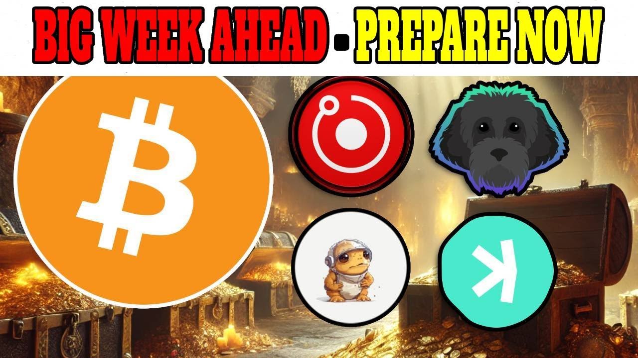 WHAT IS NEXT FOR CRYPTO? ALTCOIN SEASON GUIDE - YouTube