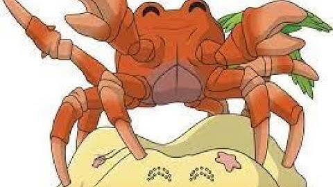 Crab Rave Note Blocks MineCraft