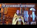 День памяти Иоанна Лествичника. Проповедь прот. Алексия о  потребности в духовном росте 11.04.2021г.