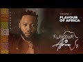 Flavour - Flavour of Africa