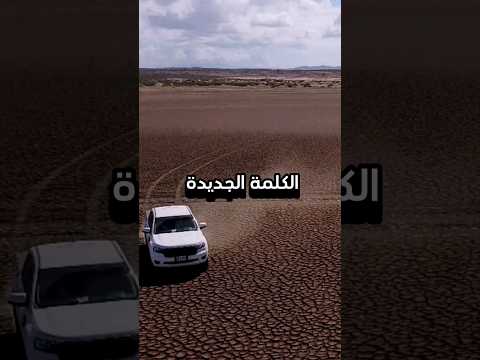 تعلم معنا كلمة جديدة في اللغة العربية دروس اللغة العربية