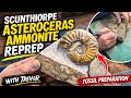 Trevor's Tips - Fossil Preparation - Scunthorpe Asteroceras Ammonite re-prep - Reducing the matrix