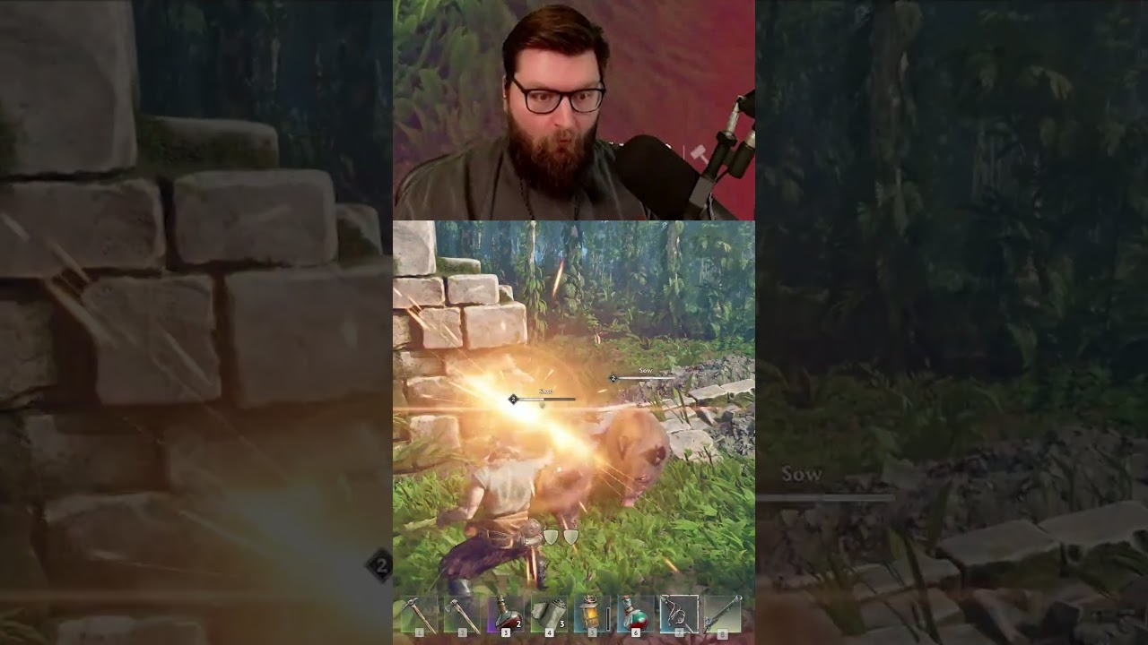 HOW?! #windrose #programer