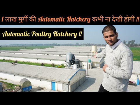 Automatic Poultry Hatchery || 1 लाख मुर्गी की Hatchery ना देखी होगी || Hello Kisaan