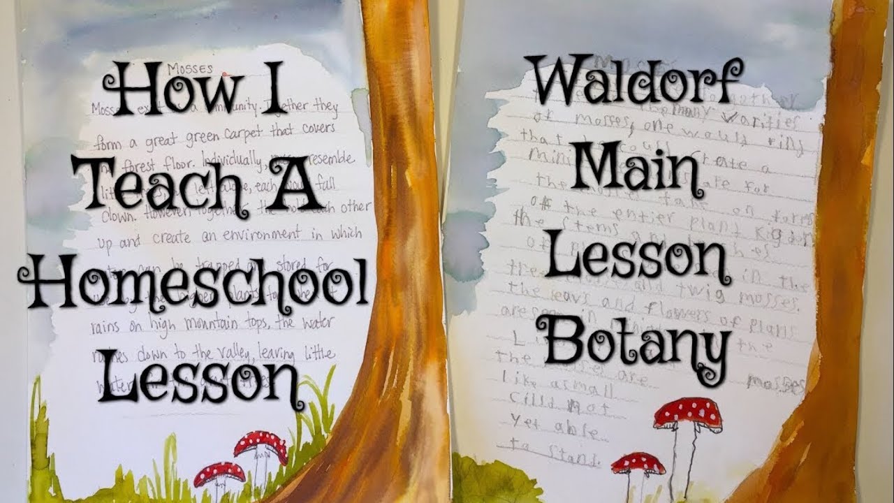 How I Teach a Waldorf Homeschool Main Lesson | Botany Mosses | Lesson 6