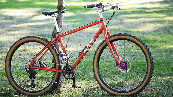 This Bike Defies Categories