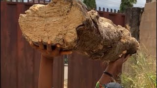 W!cked daughter inlaw 