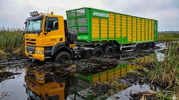 Extreme Mudding! When Dump Trucks and Timber Trucks Get Stuck