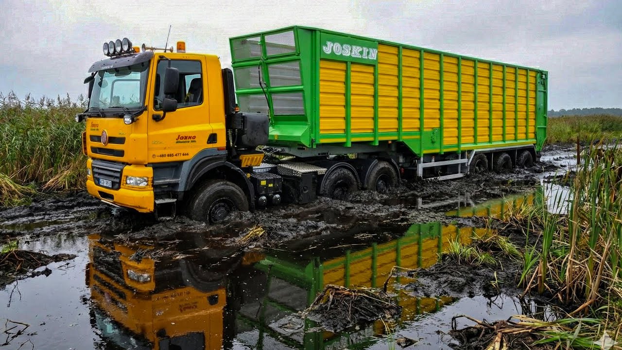 Extreme Mudding! When Dump Trucks and Timber Trucks Get Stuck