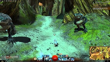 Guild Wars 2 - Tangled Depths an Overview/Refresh on meta