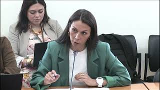 21-04-2026 | Audição do Presidente da Estrutura de Missão | Catarina Louro 3ª