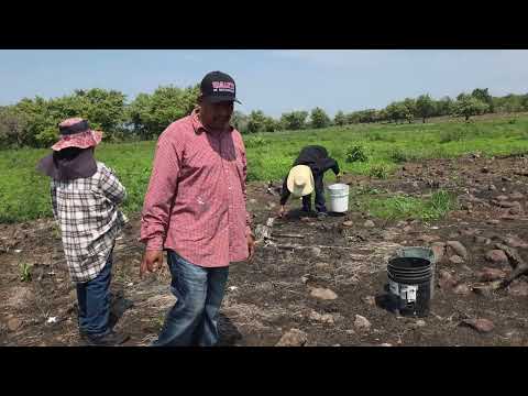 CON MI FAMILIA TIRANDO FERTIZANTE 