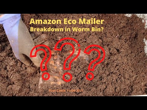 Amazon Eco Mailer to a Worm Bin?? First Update 11/04/2021