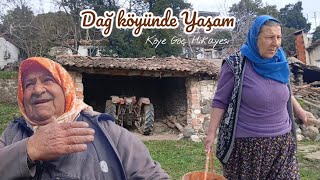 Dağ Köyünde Yaşam-Emekli Memurun Köye Göç Hikayesi Beşyol Köyü