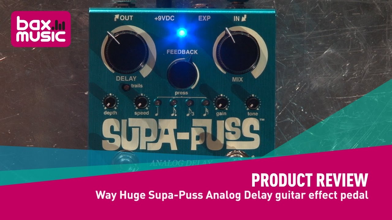 Way Huge Supa-Puss Analog Delay guitar effect pedal - Review - YouTube