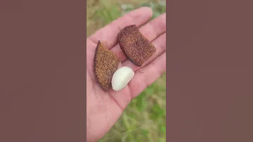 На что ловить Раков?