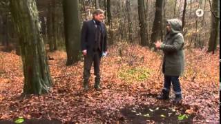Rote Rosen - Staffel 11 - Folge 1984 - Babyparty screenshot 2