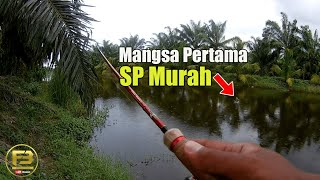 Casting Ikan Bulan @ Tarpon Guna Sp Murah | VLOG 90
