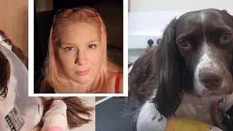 Glasgow crime queen Annette Daniel caged after des...
