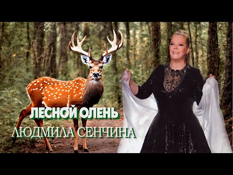 Лесной олень - Людмила Сенчина