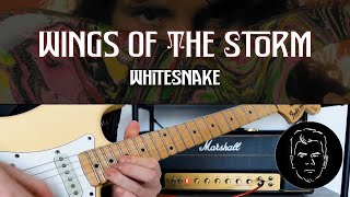 Wings Of The Storm | WHITESNAKE Cover | Marshall Plexi Jose Modded