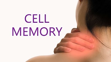 What is Cellular Memory? The breakthrough theory on why chronic pain and injury happens.