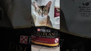 proplan segede gaban co link bio no. 26 🛒 #proplan #makanankucing #kucinglucu #kucinggemoy