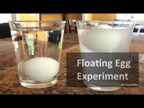 Egg Floating in Saltwater Experiment