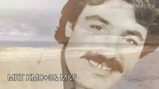 Ferdi Tayfur Benim Aklımı Alacaksın Resimi