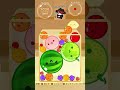 【スイカゲーム】過去最高得点のスイカ試合www#スイカゲーム#shorts