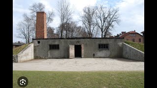 Тоталитаризм и Эдемократия. Мы не заметили, как мир стал концлагерем. Беседа с Алексеем Лапшиным