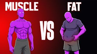 Muscle Vs Fat The Hidden Truth Your Scale Cant Show Fitness Transformation Explained