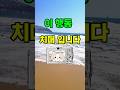 “이 행동, 치매입니다”건망증과 치매, 어떻게 구별할까요?#치매#건망증#구별법 #이슈 #건강한중년#시니어 #시니어건강