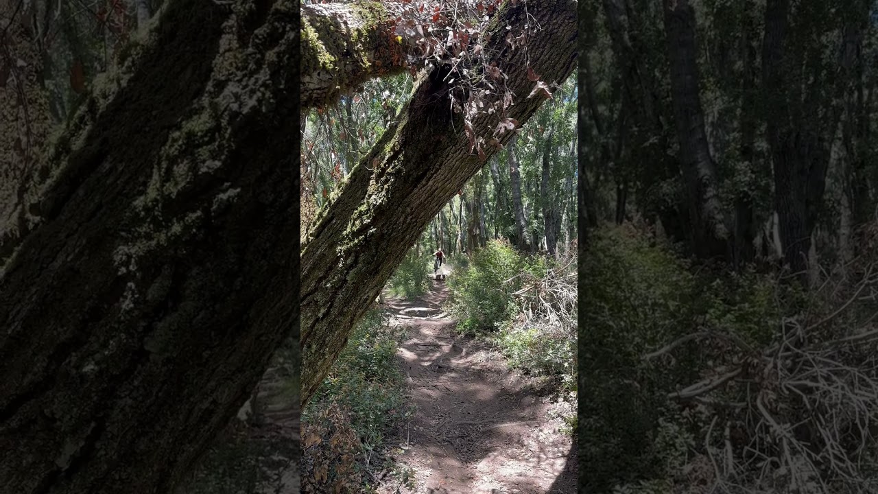 Sometimes you just need to lick the stamp…