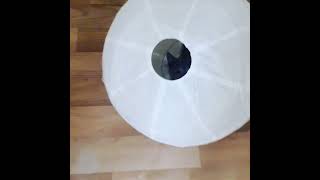 Sneaky Kitten's Misadventure with an Ikea Lamp