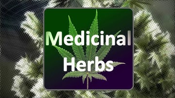 Medicinal Herbs - Cannabis Grow Simulator - Devlog 2 preview