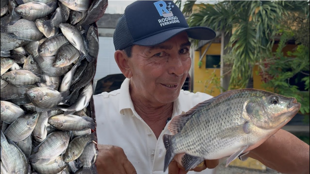 RESULTADO IMPRESSIONANTE DA BIOMETRIA! 🐟