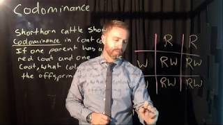 Solving Codominance Problems
