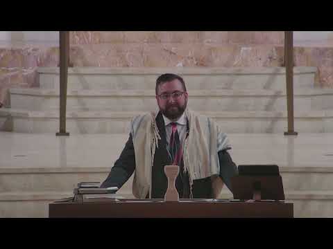 Sub Only The Ultimate Brooklyn Shabbat Times Guide Youll Thank Me New Release - 2c8b9tc