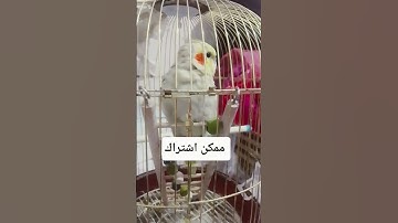 #حالات_واتس #تلاوة_مؤثرة #تلاوة_خاشعة #إسلام_صبحي #حالات #حالات_واتساب #صوت_يريح_القلب #قرآن