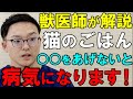 【後編】猫に１番良いキャットフードはどれ？獣医師・動物介護士・トレーナーが徹底解説します！