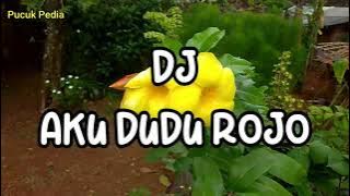DJ AKU DUDU ROJO // No Copyright
