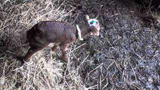 Rural vs Urban Lifestyles - A Youth Environmental Perspective