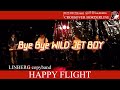 Bye Bye WILD JET BOY/LINDBERGコピーバンド@happyflight2009