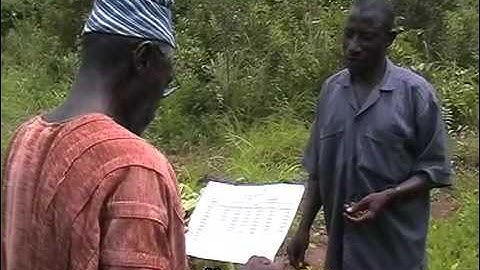 Ghanaian farmers get better prices for their crops by using mobile phones