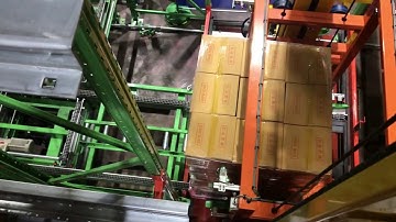 MDPS(Multi Deep Pallets Storage)  Stackercrane Type System