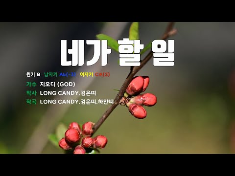 [은성 반주기] 네가할일 - 지오디(GOD)